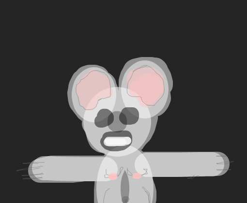 ratinho