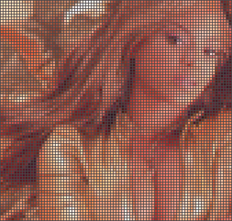 Beyoncé Pixel 