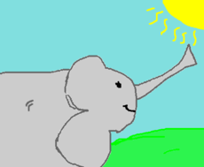 Elefante <3