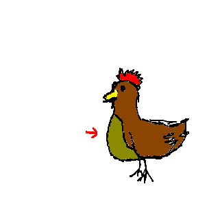 peito de frango