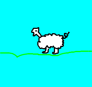 ovelha