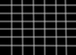 conte os quadrados pretos =3