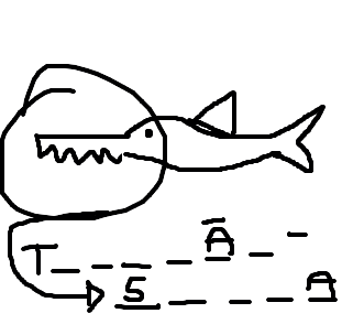 tubarão-serra