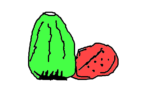 melancia 