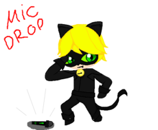 cat noir(mic drop)