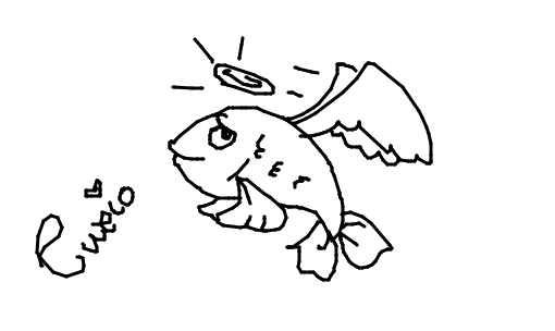 peixe-anjo