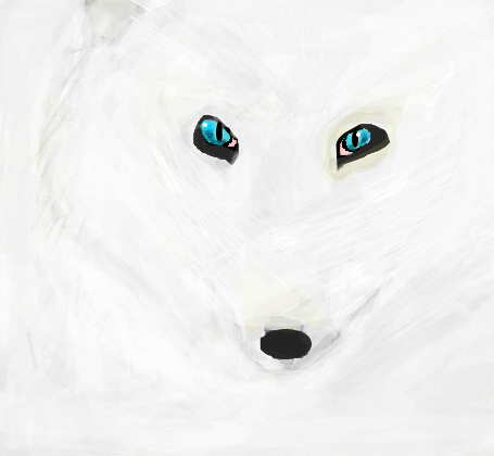 Raposa-do-ártico (Fox)