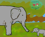 elefanta e elefantinho