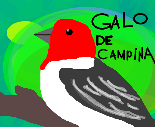 Galo De Campina