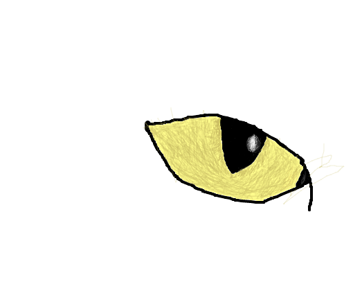 olho de lince