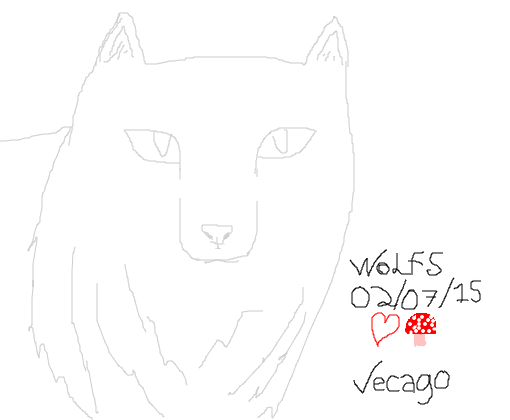 Wolf !!!