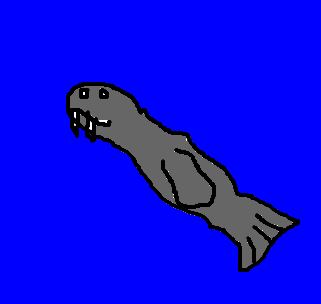 leão-marinho