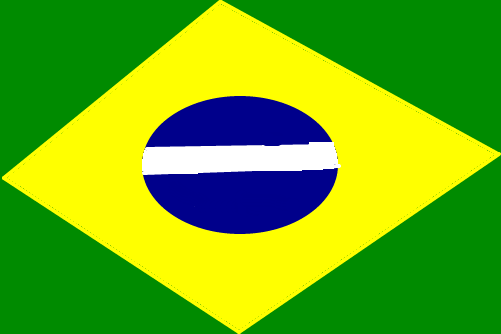 bandeira do brasil de ester