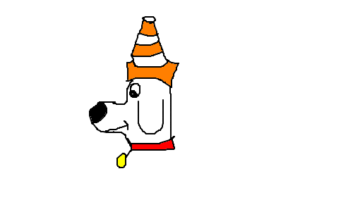 cachorro com cone na cabeça