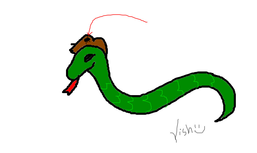 piolho-de-cobra