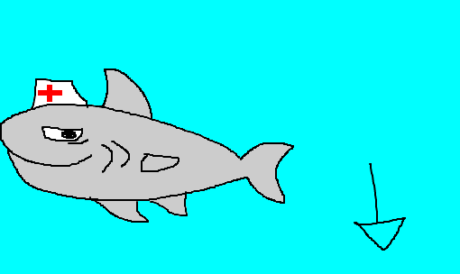 tubarão-enfermeiro