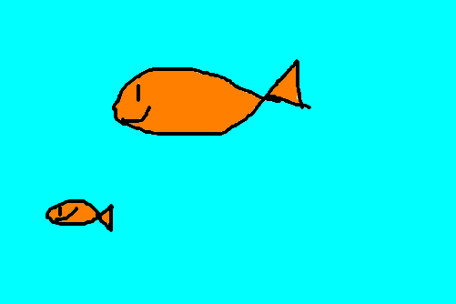 Peixes,o animais mais antigos do planeta