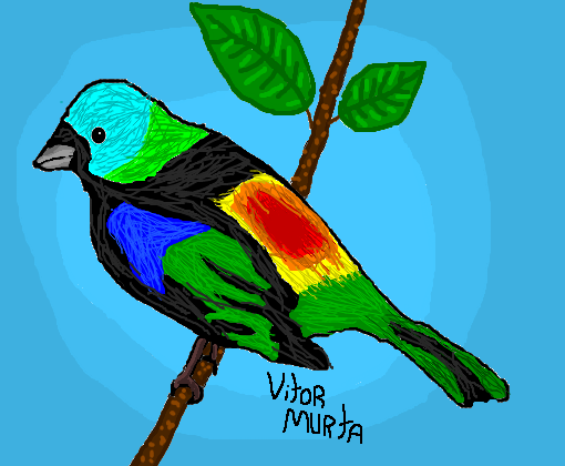 Pássaro-Vitor Murta