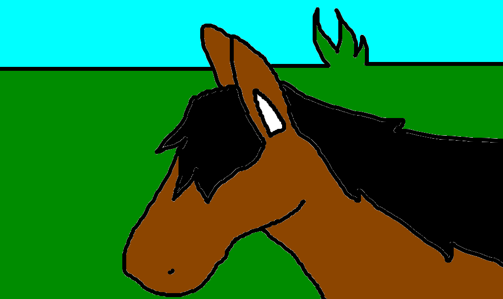 Cavalo crioulo - Desenho de totokk - Gartic