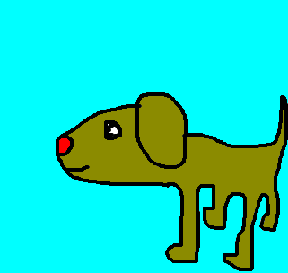 cachorro