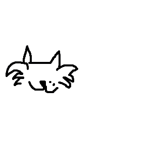 gato