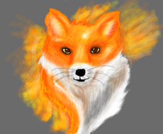 Fire fox p/ blindspotll