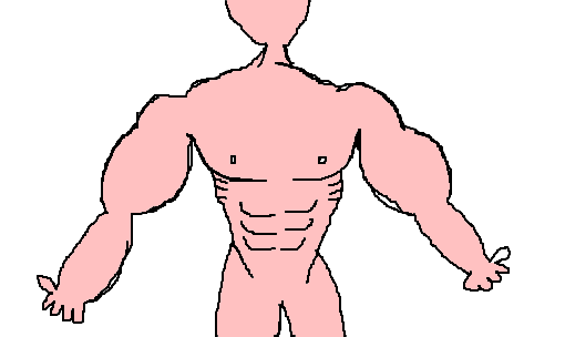 músculo