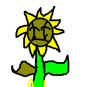 sunflora