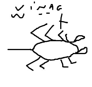 escorpião-vinagre