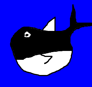 orca baleia 