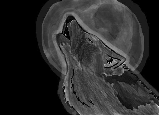 Night Shadow Wolf