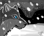 lobo da neve