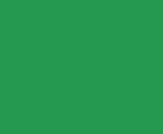 Bandeira da Líbia (1977-2011)