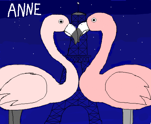 (14) Flamingos <3