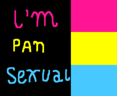 I'm PanSexual