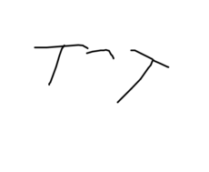 T^T