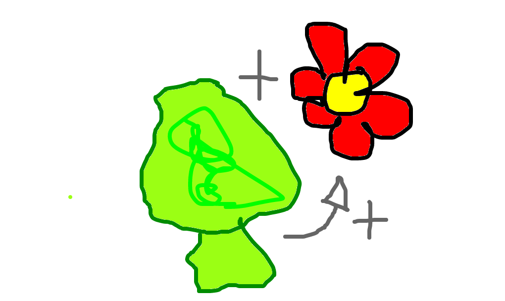 couve-flor