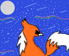 Fox in Space