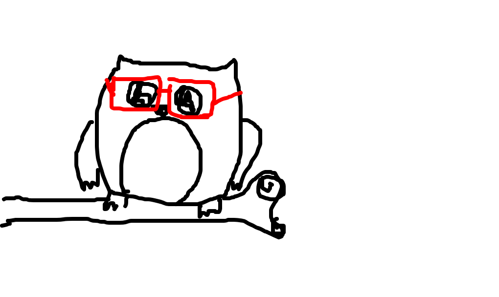 coruja de óculos
