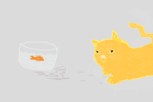 o peixe e o gato ^^