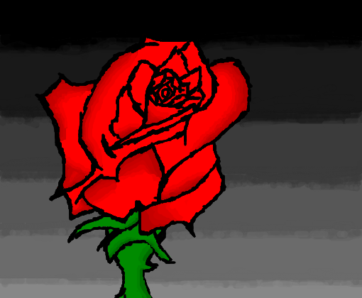 Uma rosa qlqr
