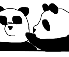 Pandinhas <3 (Para Honey_Panda)