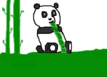 panda riariaria